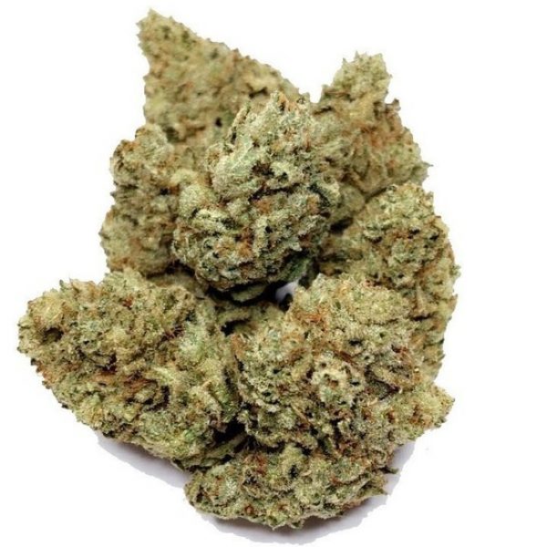 Gorilla Glue #1 (rare) ~ 60% Indica