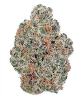 Peanut Butter Breath ~ 50 / 50 Hybrid