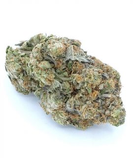 Poison Haze ~ Sativa 100%