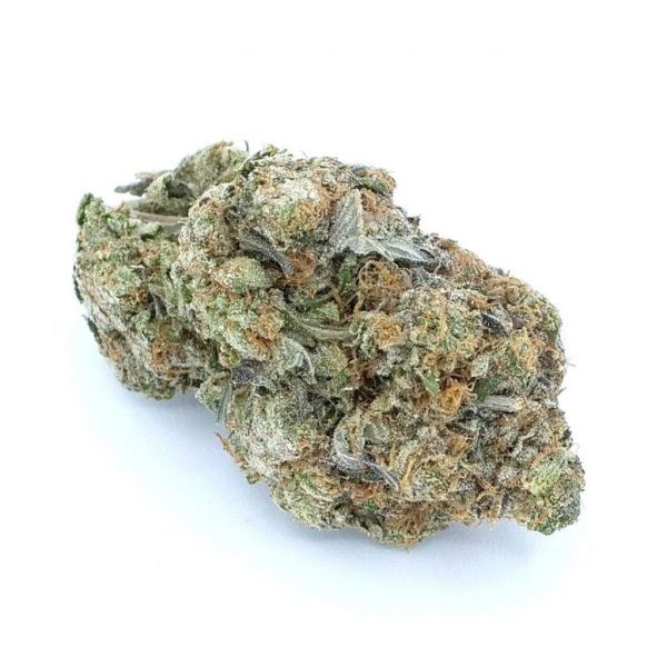 Poison Haze ~ Sativa 100%