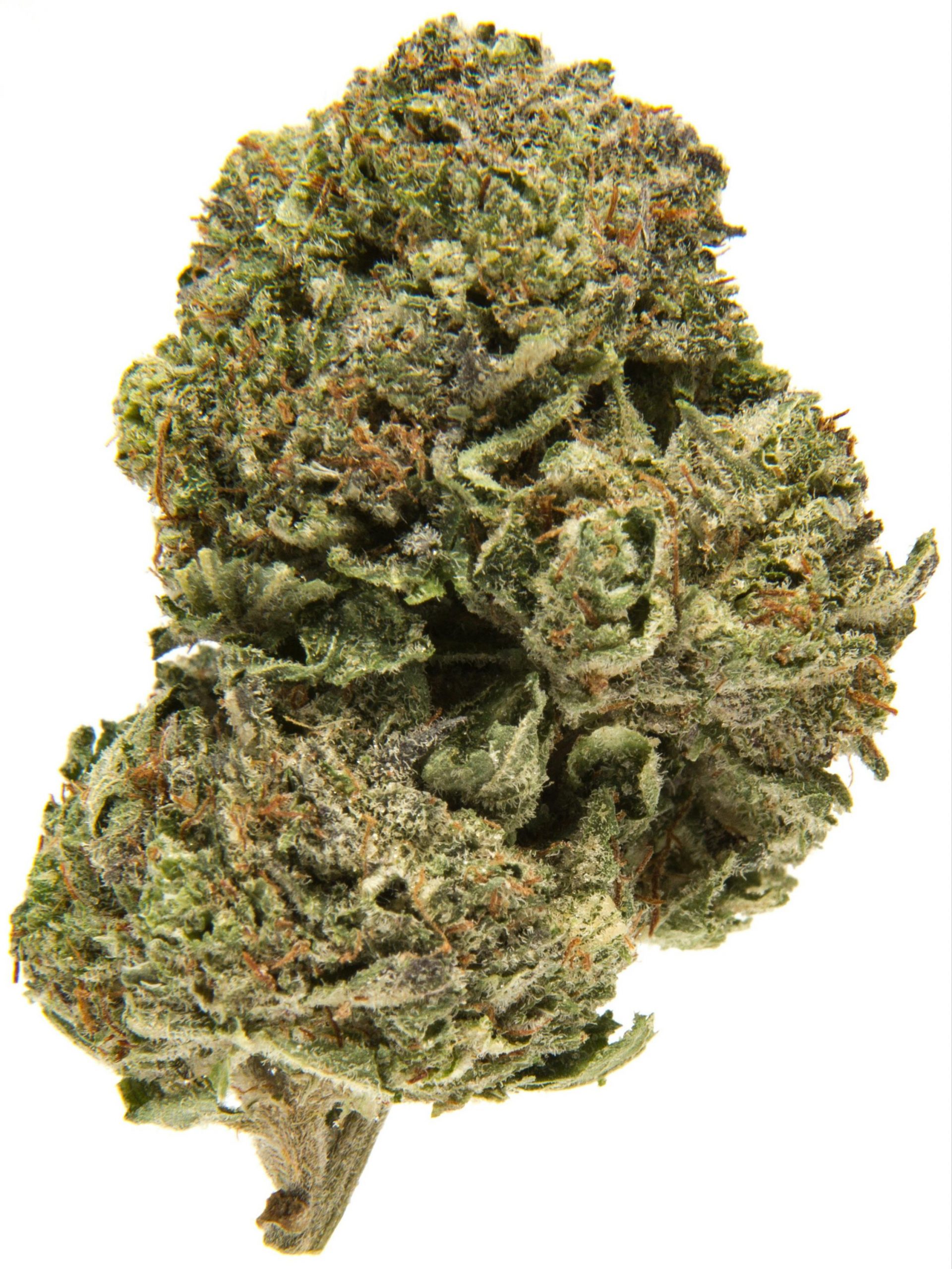 Bubba Kush ~ Indica 80%