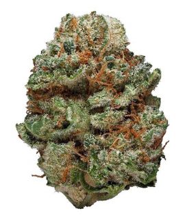 Kushberry ~ Indica 100%
