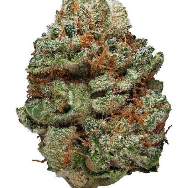 Kushberry ~ Indica 100%