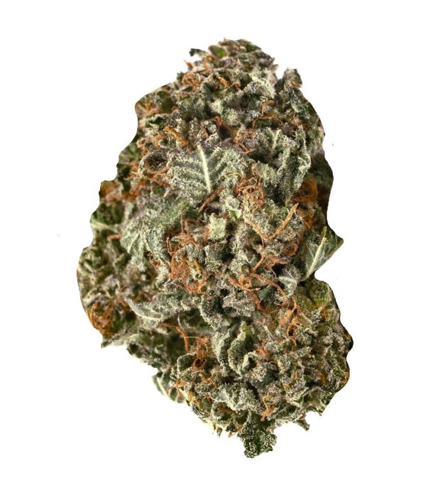 Black Domina ~ Indica 100%