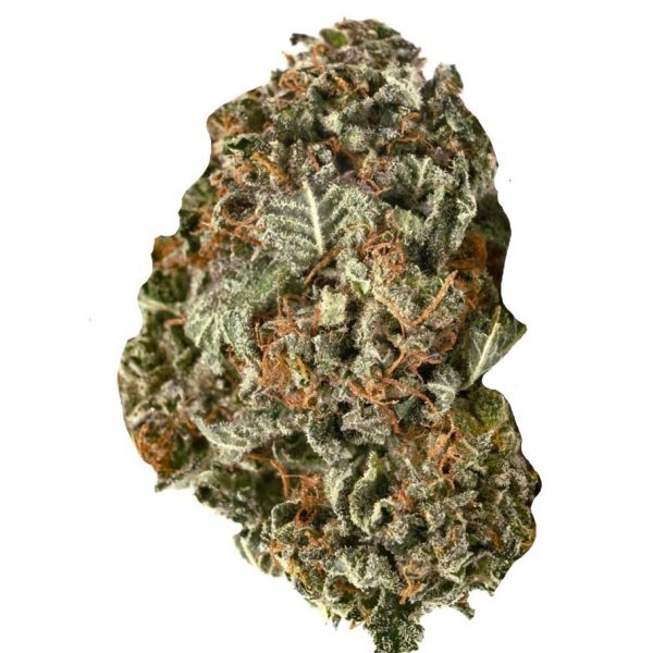 Black Domina ~ Indica 100%