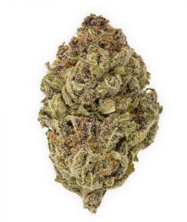 Blue Cheese ~ Indica 80%