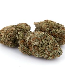 God's Green Crack ~ Hybrid 55 : 45 (Indica / Sativa)