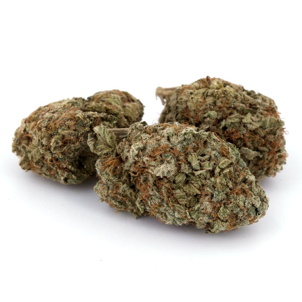 God's Green Crack ~ Hybrid 55 : 45 (Indica / Sativa)