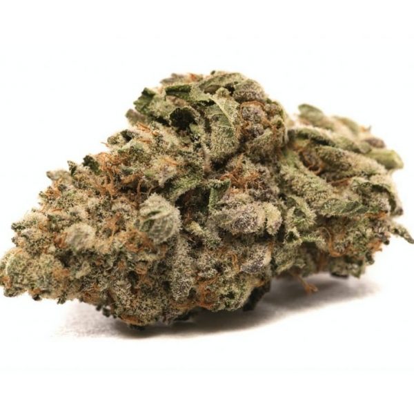 Grease Monkey ~ Indica 70%