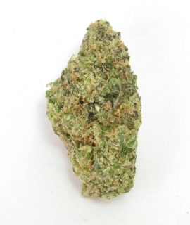 Tropical Burst ~ 70% Sativa