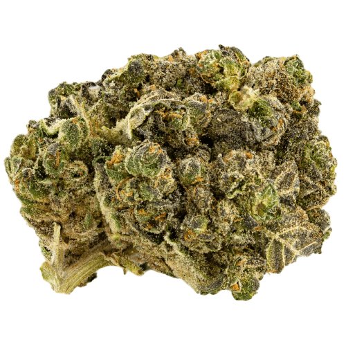 Christmas Tree ~ Indica 70%