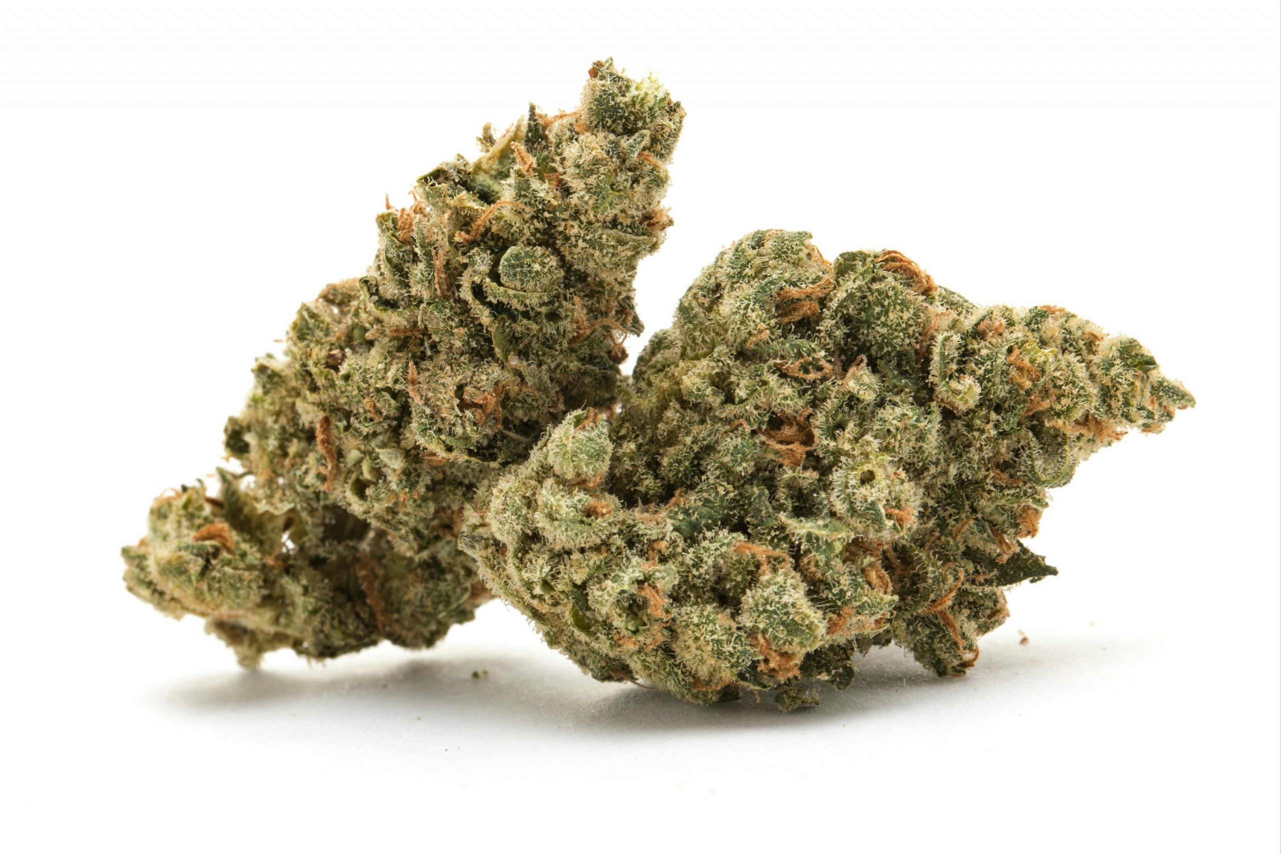 Secret Weapon ~ Sativa 60%