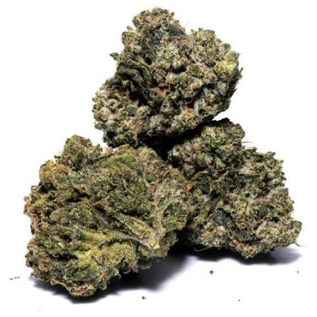 Lemon Elephant ~ Sativa 65%